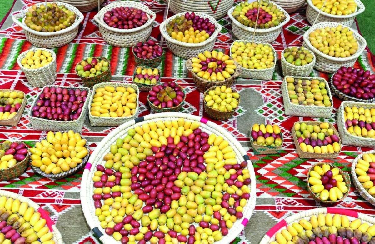 100 Qatari farms set to showcase finest harvest at local date festival
