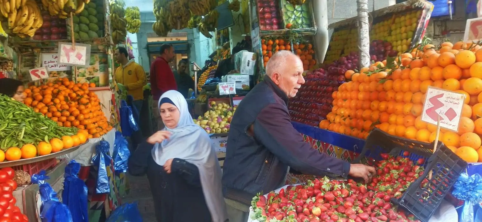 أسعار الخضار اليوم الجمعة فى أسواق مطروح