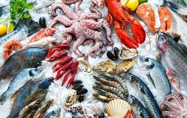 الثلاثاء 4 أغسطس 2026.. أسعار الأسماك بسوق العبور للجملة خلال تعاملات اليوم