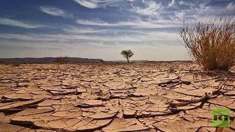 ليبيا تفقد 390 هكتارا من الغطاء الشجري خلال 25 عاما