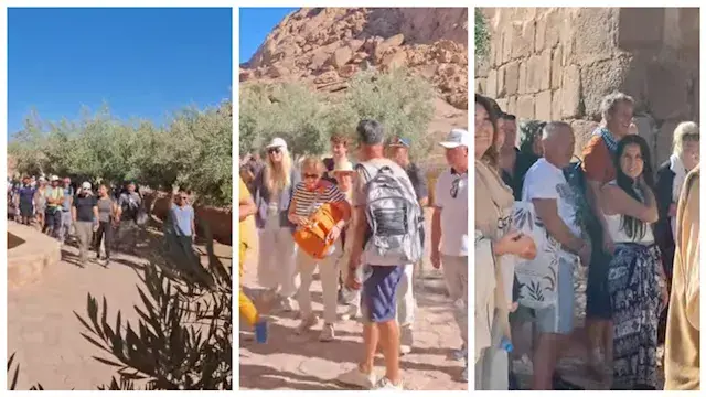 500 سائح في رحلة بين السماء والأرض للوصول لأعلى قمة جبلية بجنوب سيناء