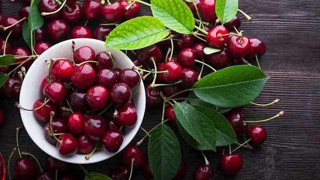 ماذا يحدث لجسمك عند تناول الكرز يوميا؟