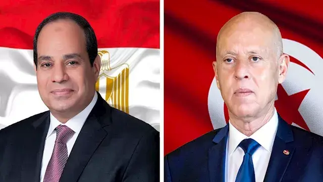 الرئيس التونسي: أمن مصر هو جزء من الأمن القومي العربي