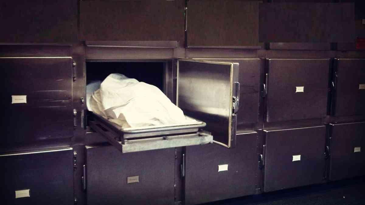 جهود أمنية لكشف ملابسات العثور على جثة شخصين في عقار بالمرج