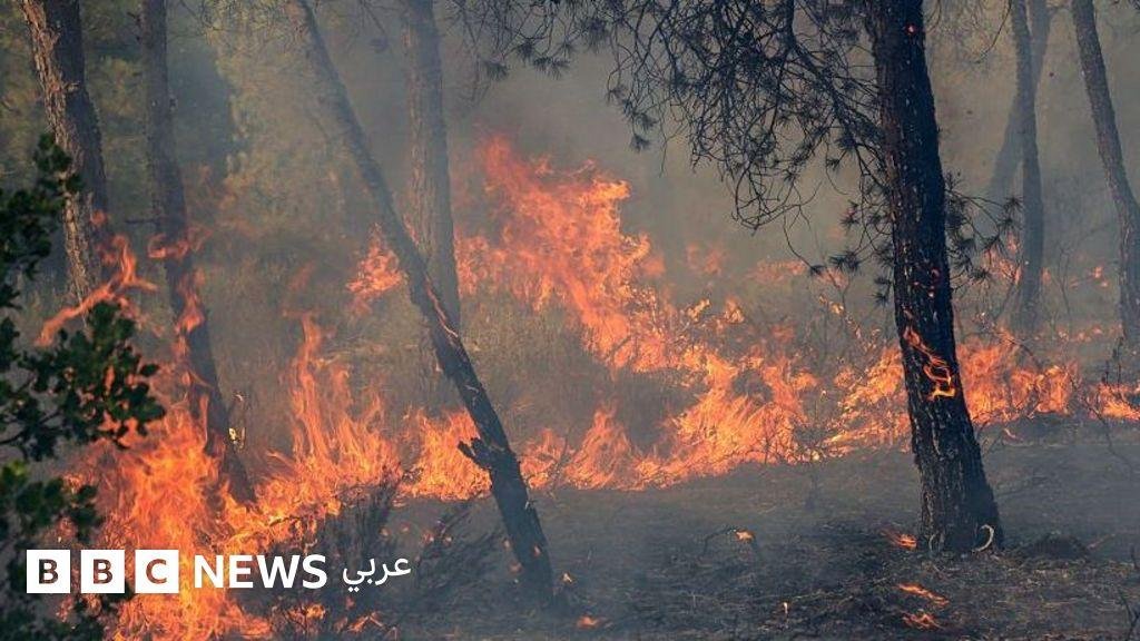 مقتل 12 شخصاً في الجزائر وإصابة العشرات بسبب حرائق الغابات