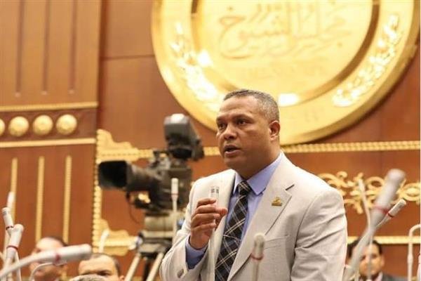 النائب محمد حمزة: شفافية الدولة في التعامل مع حادث ميناء دمياط قطع الطريق أمام الشائعات ومحاولات بث البلبلة