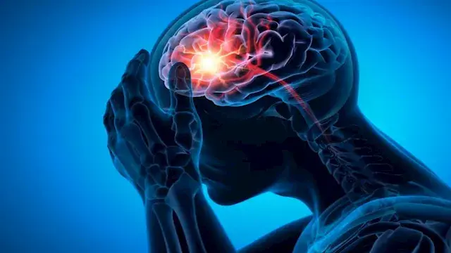 سلاح الدماغ الطبيعي ضد الزهايمر.. اكتشاف قد يغير مستقبل علاج المرض