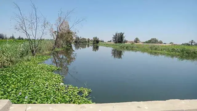 لجنة فنية ترصد أسباب ارتفاع من...
