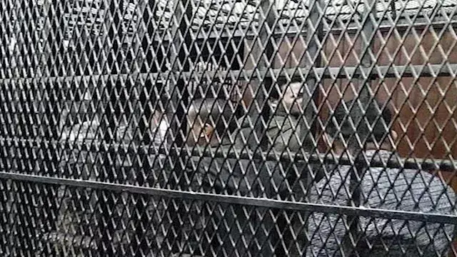استدرجه لمنطقة نائية.. تفاصيل الحكم على متهم بسرقة سائق "توك توك" في أسيوط