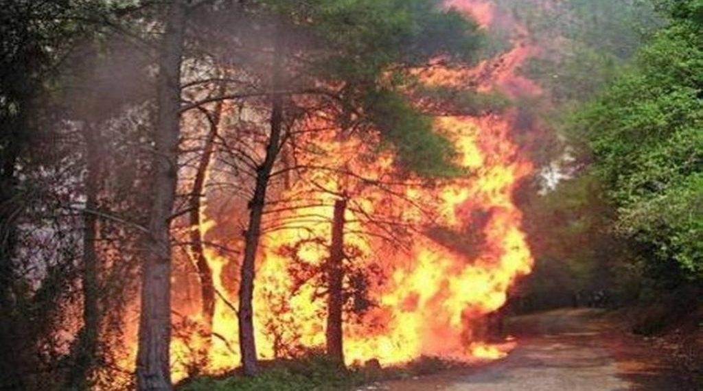 إجلاء المئات جراء حريق غابات جديد في جنوب غرب إسبانيا