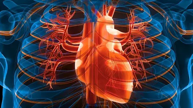 الإفراط في تناول الملح.. كيف يهدد صحة القلب والكلى؟