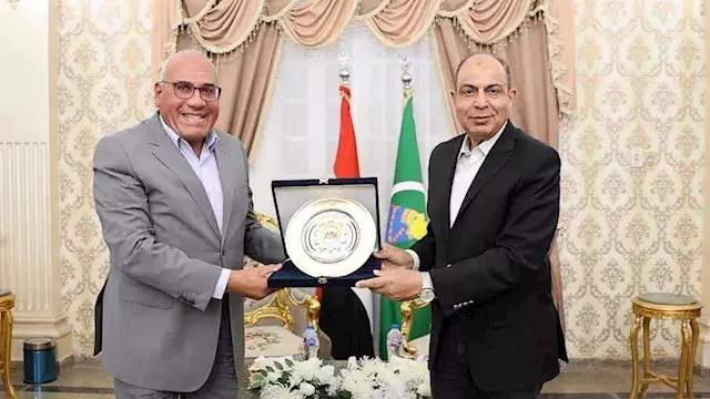 محافظ المنيا ورئيس العربية للتصنيع يتابعان مشروعات "حياة كريمة"