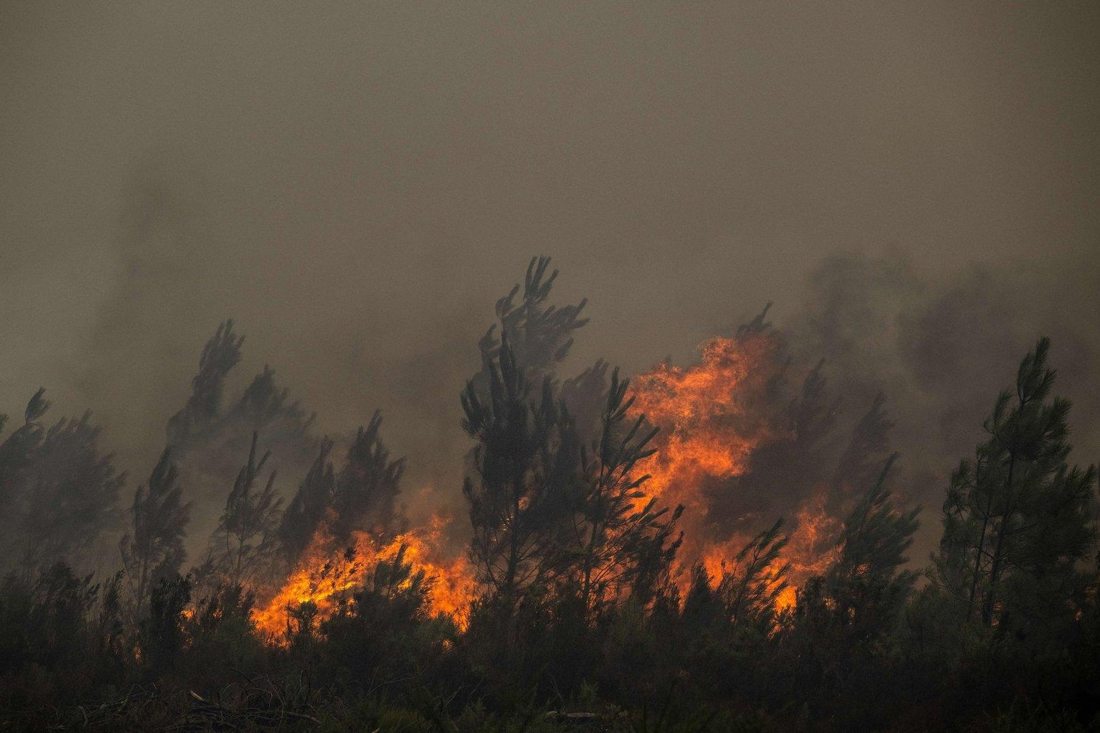 French wildfires trigger mass evacuations around Bordeaux