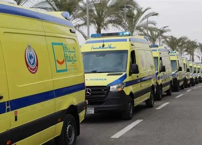 إنقاذ طفل بعد سقوطه فى ترعة بالدقهلية