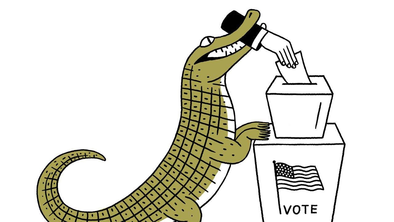 Voting Rights, Updated
