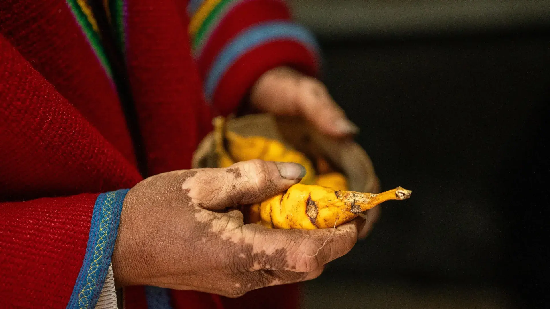 Potatoes may have given Indigenous Andeans a digestive superpower