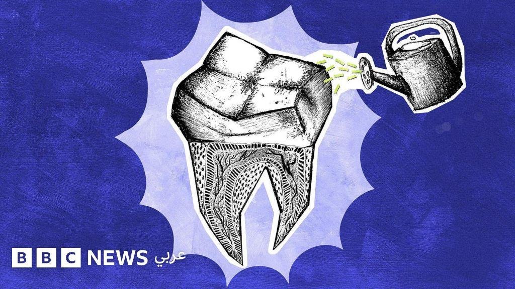 هل تمكّن العلماء من إعادة إنماء الأسنان المفقودة؟