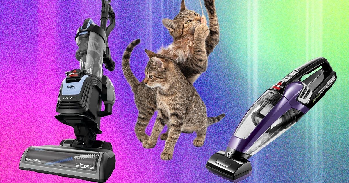 The Best Vacuum for Pet Hair—We Tested Many to Find Which Ones Work Best (2026)