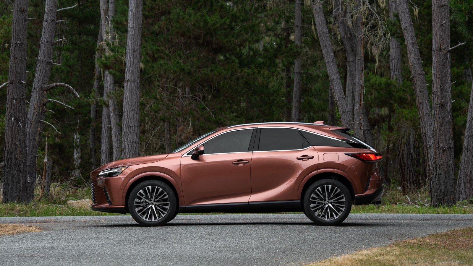 This Lexus is quietly dominating BMW and Mercedes, and it isn't even close