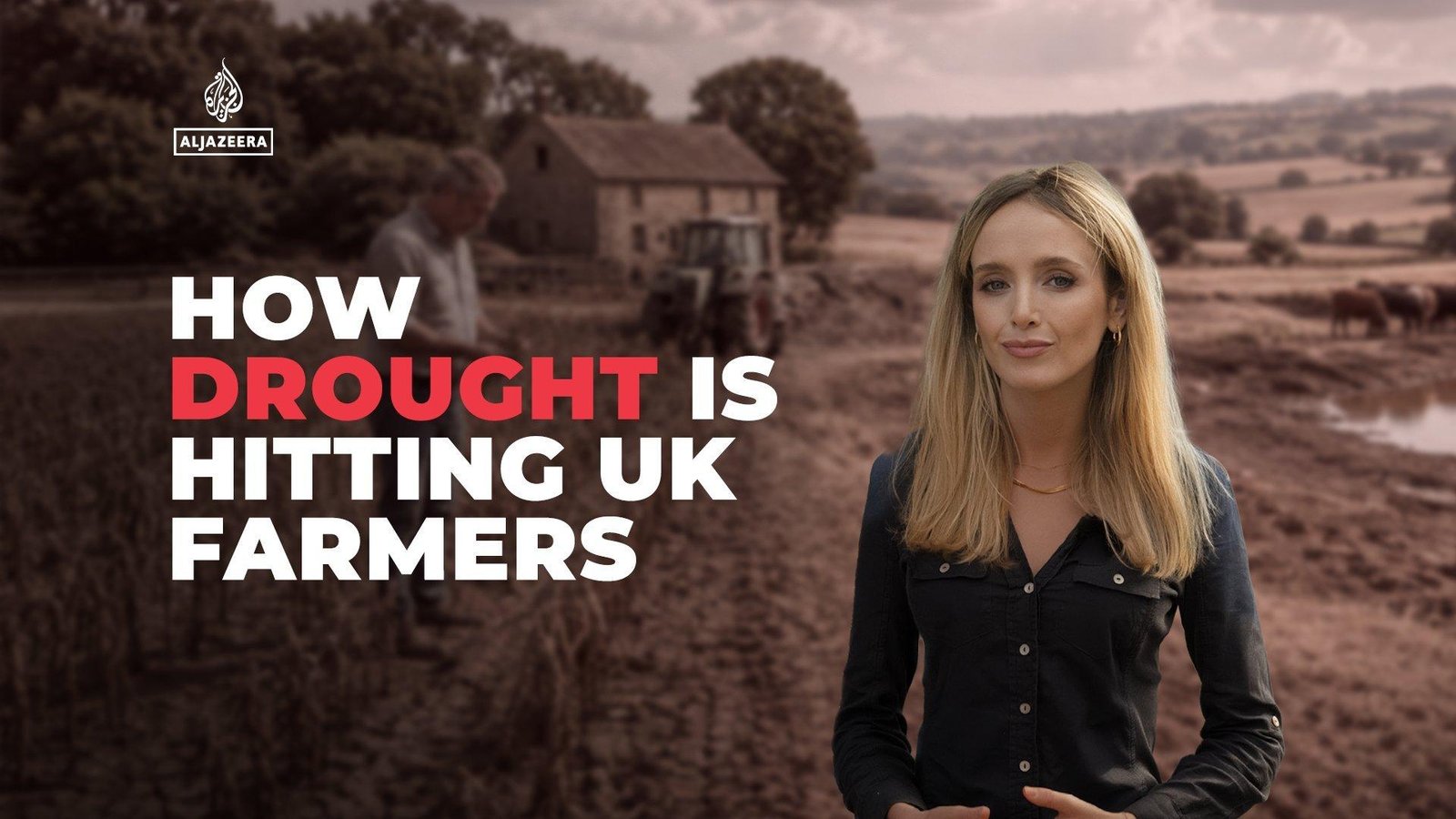 How is drought hitting UK farming?