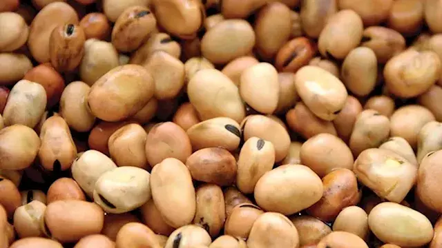 انخفاض أسعار الزيت والسكر والفول بالأسواق اليوم الأحد (موقع رسمي)