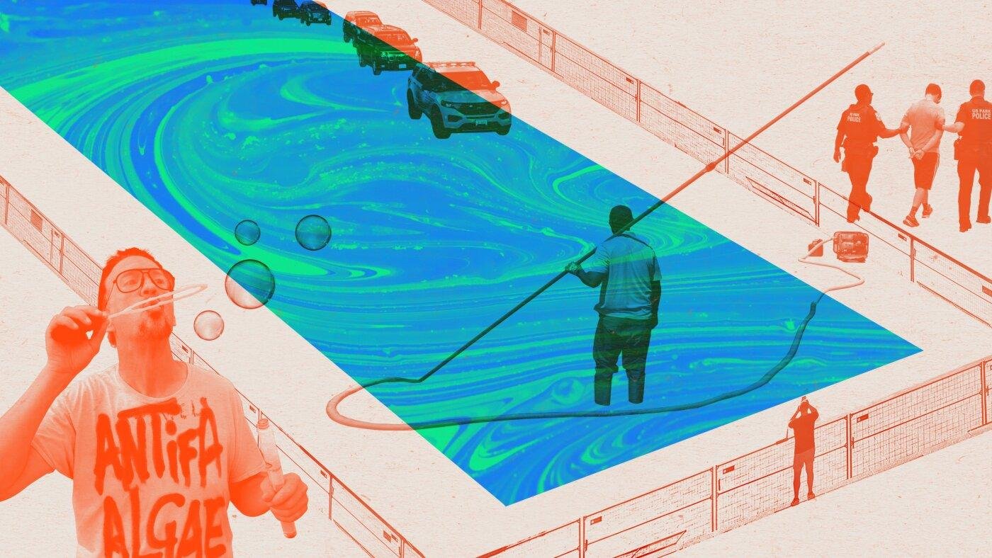 People are watching the Reflecting Pool like reality TV. What does that say about us?