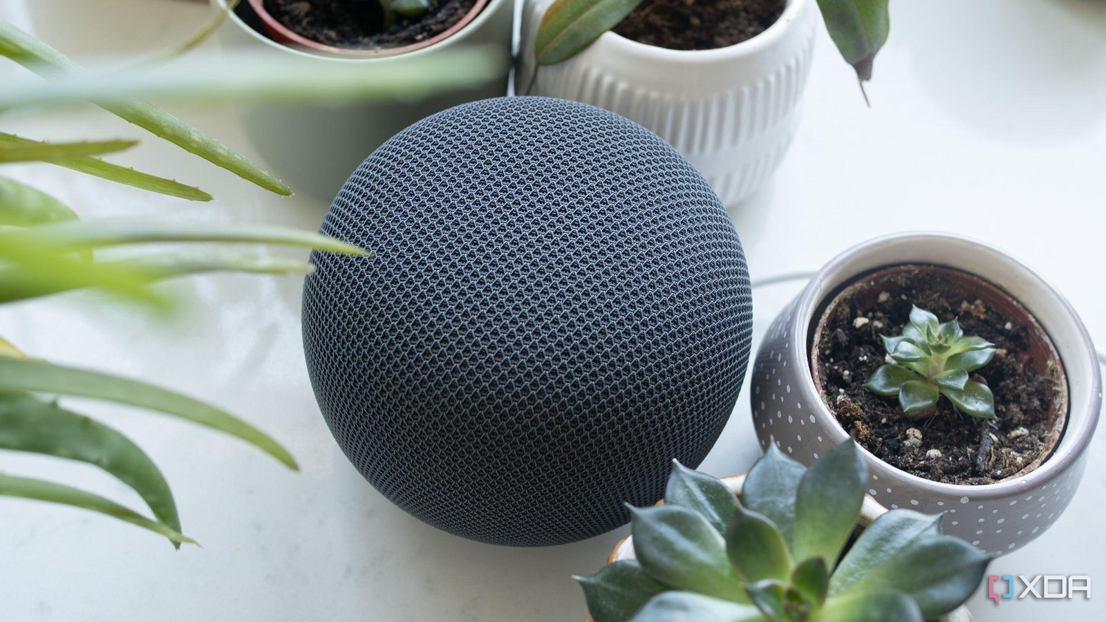 Google just launched a $99 Gemini smart speaker, and I've never been more glad I stayed on Home Assistant