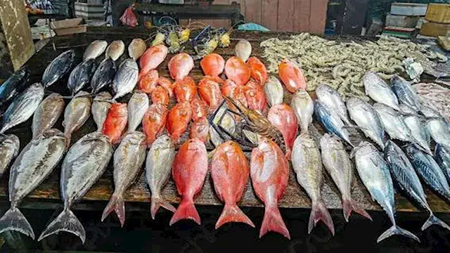 أسعار الأسماك والمأكولات البحرية في سوق العبور.. 73 جنيها لكيلو البلطي