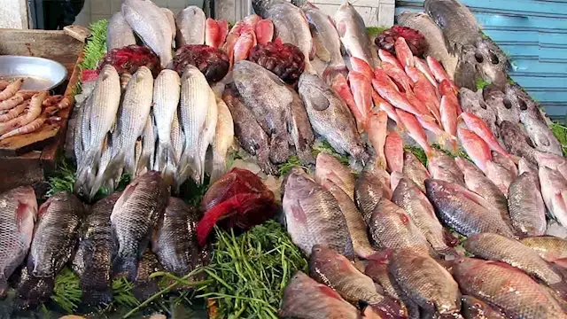 أسعار الأسماك والمأكولات البحرية في سوق العبور اليوم.. انخفاض البلطي