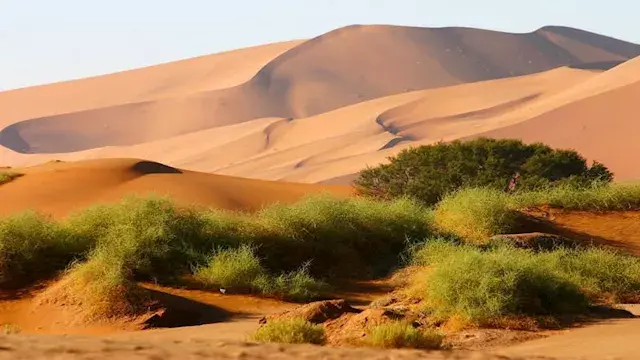 10 صور لأجمل وأشهر 8 حدائق في العالم