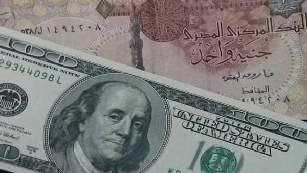 سعر الدولار مقابل الجنيه اليوم الثلاثاء 11-8-2026
