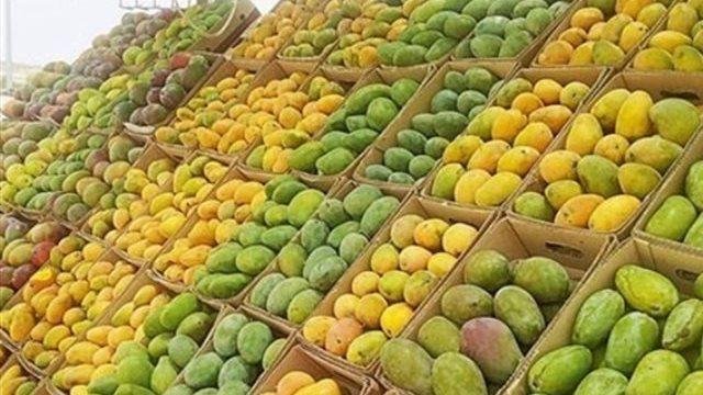 قبل ما تشتري.. تعرف على أسعار المانجو اليوم السبت بجميع الأصناف