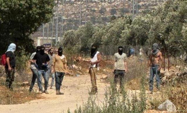 مستوطنون يقتحمون 3 قرى في محافظة نابلس شمال الضفة الغربية