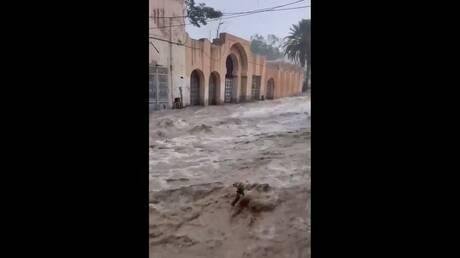 الجزائر.. فيضانات بعد عاصفة رعدية ضربت مدينة بوسعادة بولاية المسيلة (فيديو)