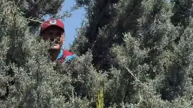مشجع طرابزون يتسلق شجرة لمشاهدة محمد صلاح لحظة وصوله إلى تركيا (صور)