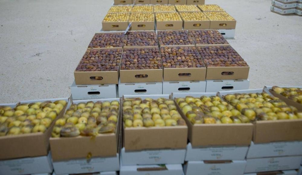 بيئة عسير تطلق حملة لتعزيز جودة التمور وسلامتها