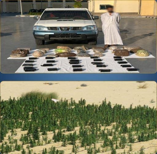 الداخلية تداهم مزرعتين بالإسماعيلية.. وتضبط مخدرات بقيمة 1.4 مليار جنيه