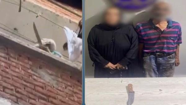 بسبب خلافات الجيرة.. ضبط عاطل وزوجته تعديا على جارتهم بالإسكندرية