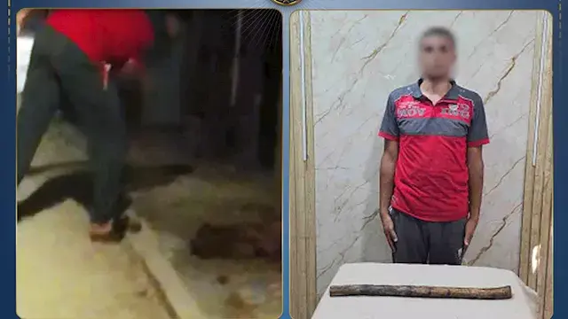 حاول عقر الأهالي.. القبض على شاب متهم بقتل كلب في الغربية