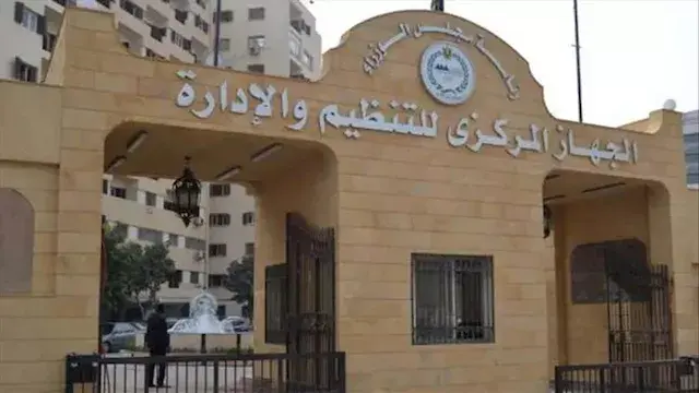 مفاجأة بالأرقام.. الكلاب 3 أضعاف الثروة الحيوانية في مصر