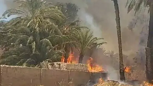 قبل امتداده للمنازل.. إخماد حريق ضخم في أشجار وحشائش بقرية بالمنيا (صور)