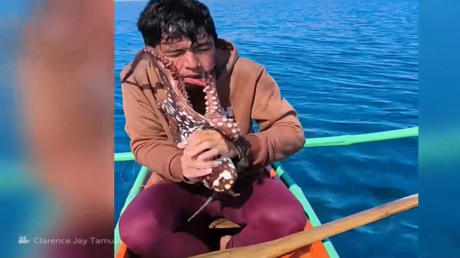 شاهد.. فيديو متداول لمعركة شرسة وجها لوجه بين صياد وأخطبوط