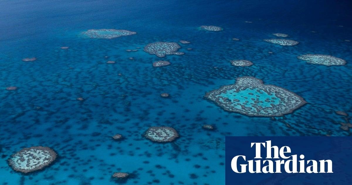 Great Barrier Reef microbiome mapped as researchers discover 500 bacterial species previously unknown to science