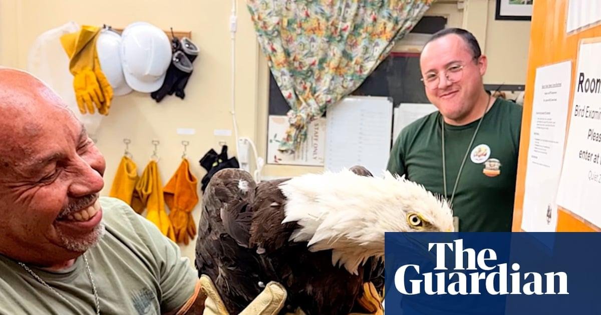 Big Bear’s missing bald eagle believed to have been found alive but injured