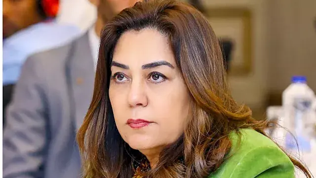 منال عوض تطالب بخارطة طريق للتعاون البيئي لمجموعة دول الثماني النامية