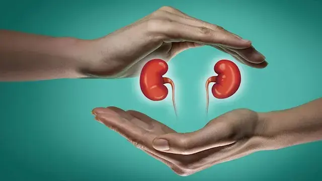 7 أطعمة تدعم صحة الكبد.. القهوة والبروكلي في المقدمة