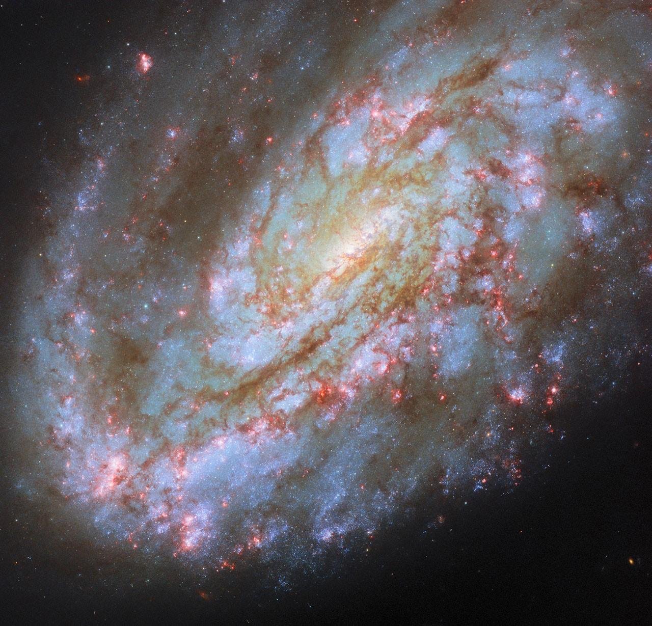 Hubble Spies One-Sided Spiral