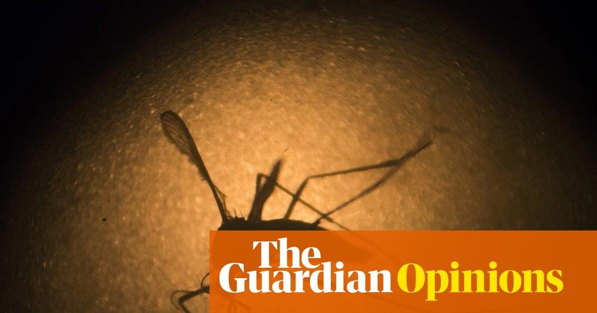 Google wants to release 32 million sterile mosquitoes. Our Australian tests offer a valuable lesson | Nigel Beebe for the Conversation