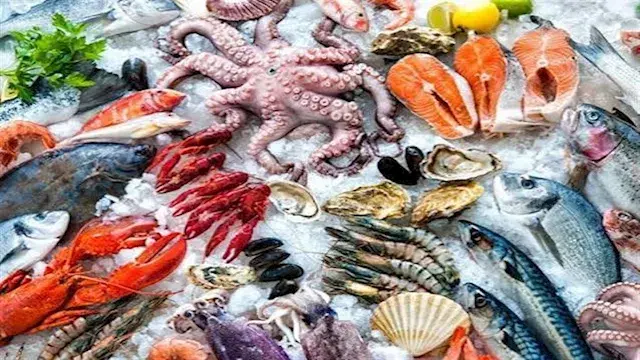 7 مأكولات بحرية احرص على تناولها.. فوائد مهمة للقلب والدماغ