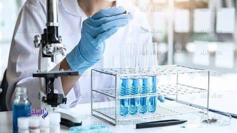 إقبال أوروبي على العربية والآثار.. والطلاب الأمريكيون يفضلون الطب وإدارة الأعمال في مصر
